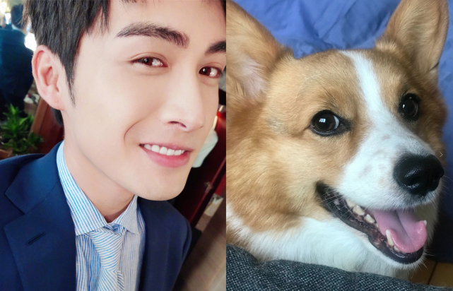 何为"狗狗眼"男星?