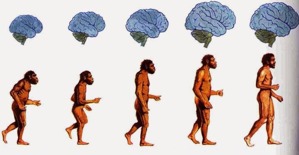 恐龙|有人说，6500万年前人类灭了恐龙，难道人不是进化而来的？