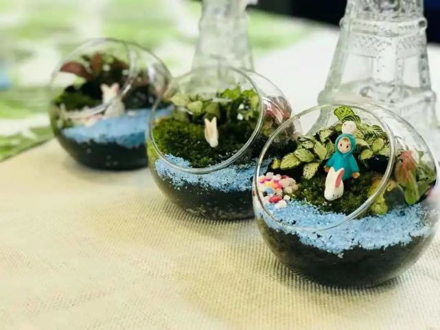 宇信荣域学府微景观生态瓶diy春意手作与您相约周末