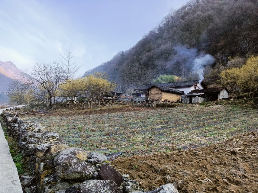 闯入秦岭熊猫出没的村庄进村先翻1500米的山再往前已没有人烟