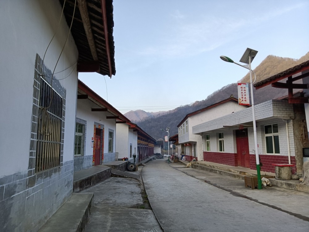 水泥公路通到了村子,通到了每一户人家的院坝,路边竟每隔十来米就立着