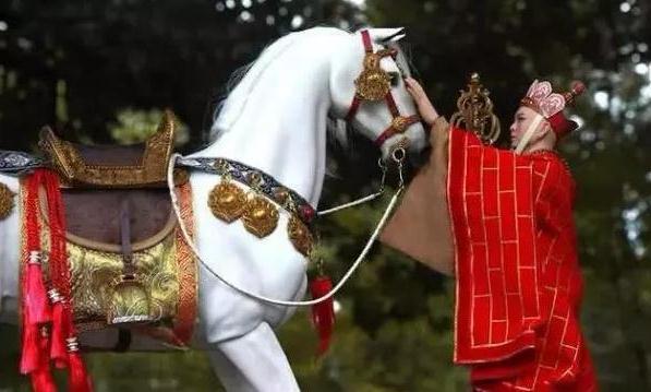 西游记 里面的白龙马 拍完戏去向如何 最后结局让人鼻子一酸 腾讯新闻