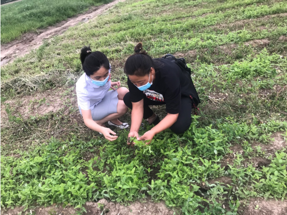 哈爾濱銀行:全面助力農民致富增收和鄉村全面振興