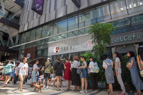 兰庭觅.茶:跨越千年的守护与传承_腾讯新闻
