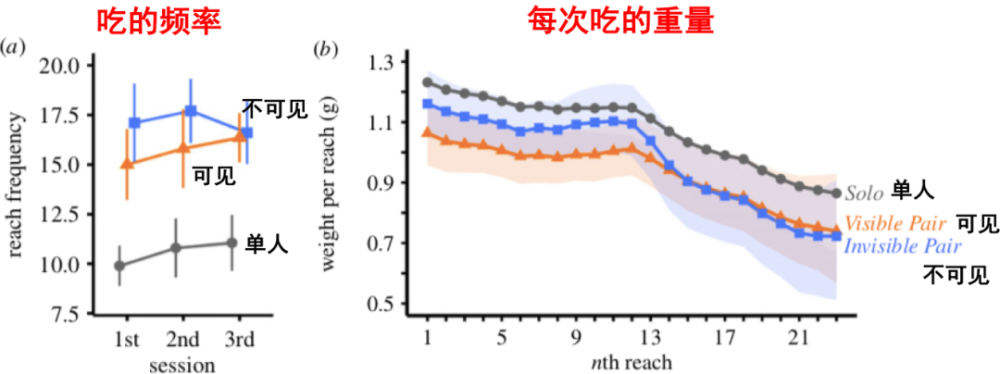 薯片|怎样才能管住嘴？看完3篇论文后我找到了科学少吃的方法！