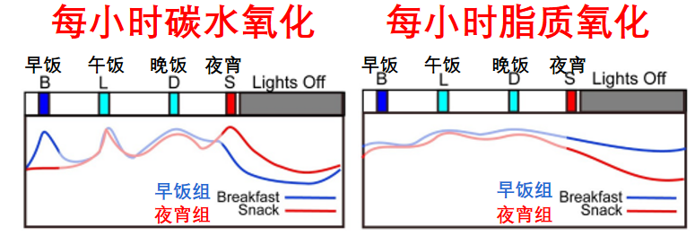 薯片|怎样才能管住嘴？看完3篇论文后我找到了科学少吃的方法！