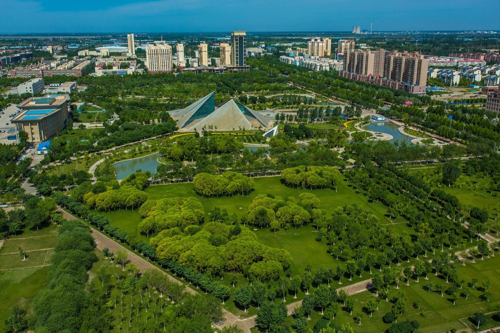 一年调处纠纷4521件成功率99.2%,阿拉尔市靠的是"一张网"