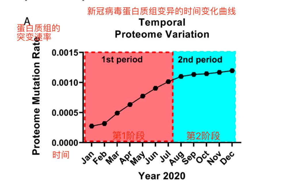 新冠病毒|新冠病毒变异有多快？过去1年，全球发现了接近30000个突变