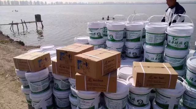 补碳补菌水草壮 低温 阴雨天培水 养殖户两天调好水 腾讯新闻