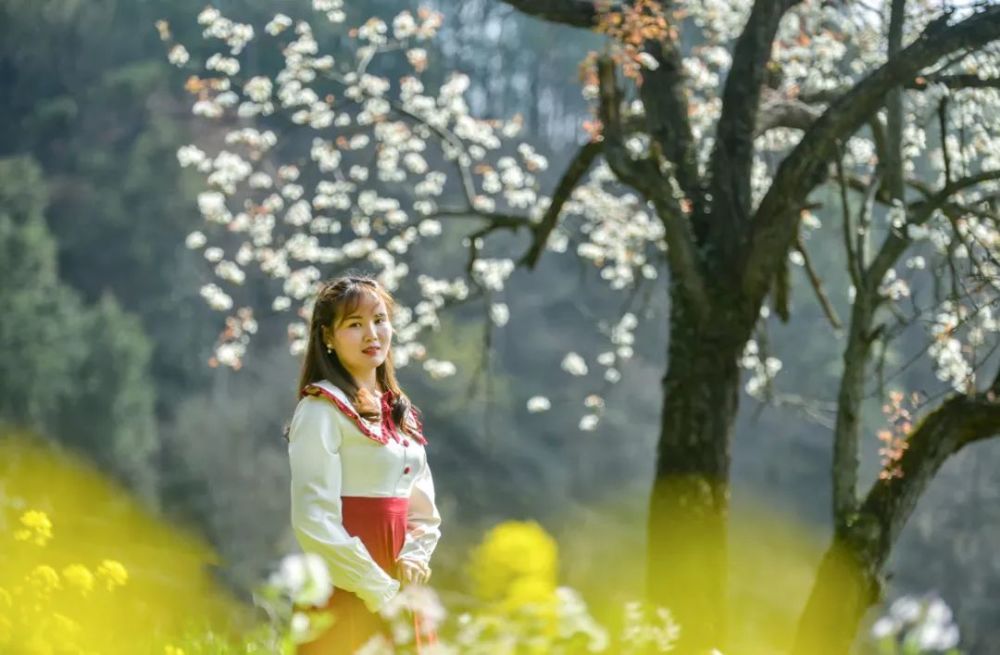 赵倩 初遇梨花雪 腾讯新闻