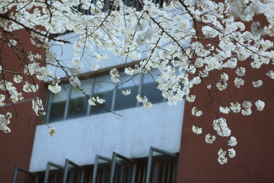 图蜗创意|校园摄影比赛怎么拍比较合适|构图|校园