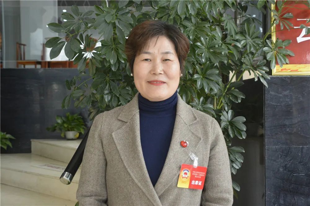 做新型农业主体的当家人