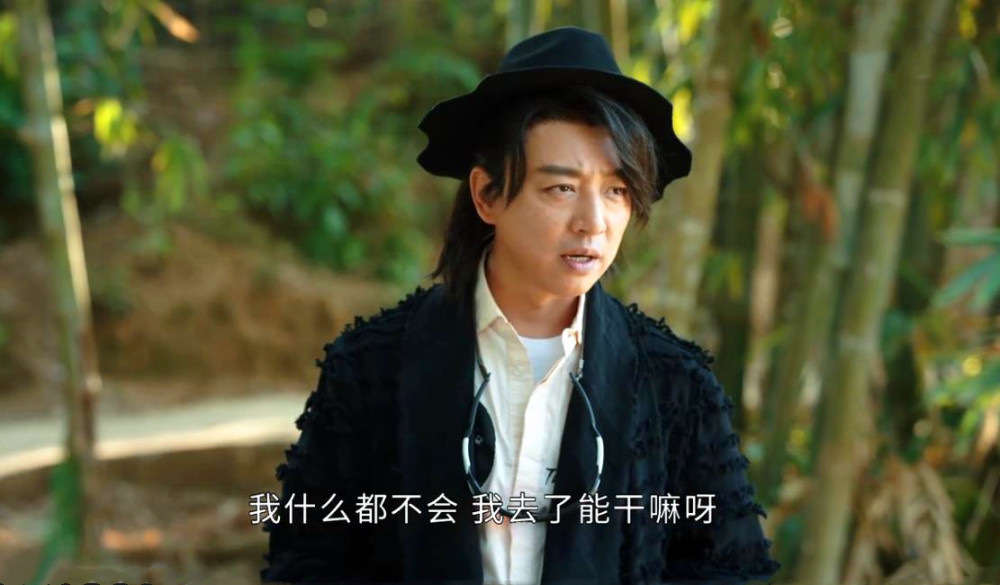 司藤白金的身份不简单他是司藤依靠的大树乃秦放最大的情敌