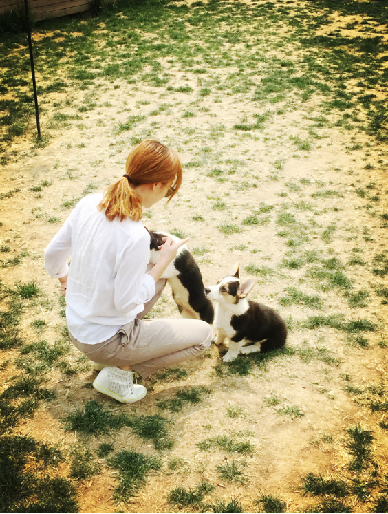 柳岩穿衬衫气质都变了,造型清纯像个小女孩,和狗狗一起更显甜美