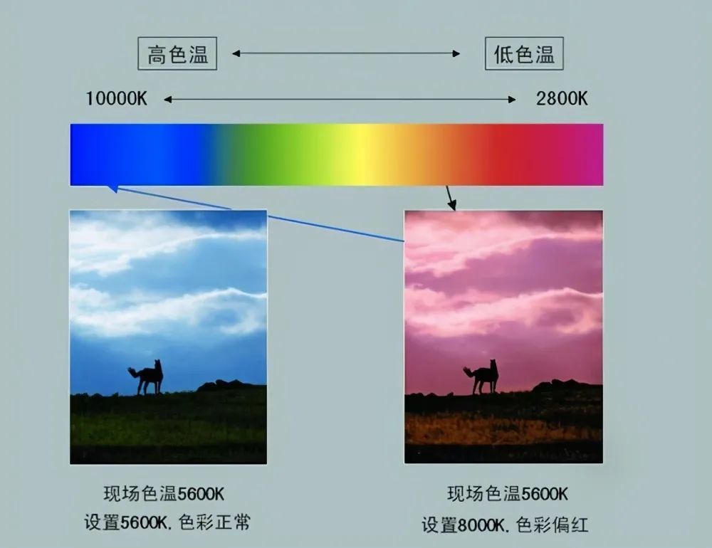 讀懂白平衡,攝影新手也能用相機直出照片,營造理想色調_騰訊新聞