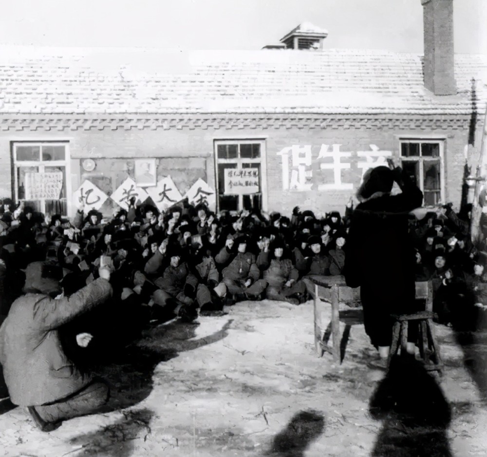 野狼|东北知青回忆：晚上遇到野狼，自己没有武器，编了几个藤环脱险