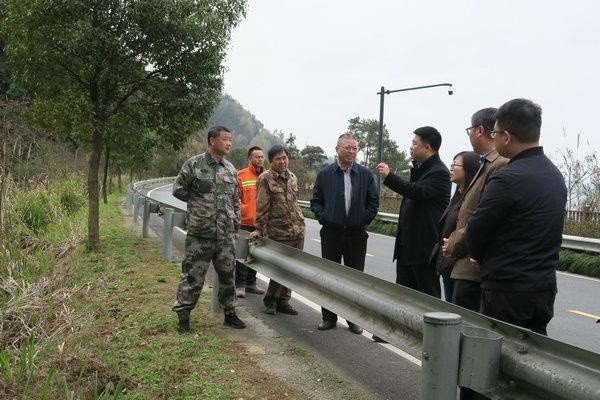 淳安:淳安县副县长余飞带队调研全县林业工作