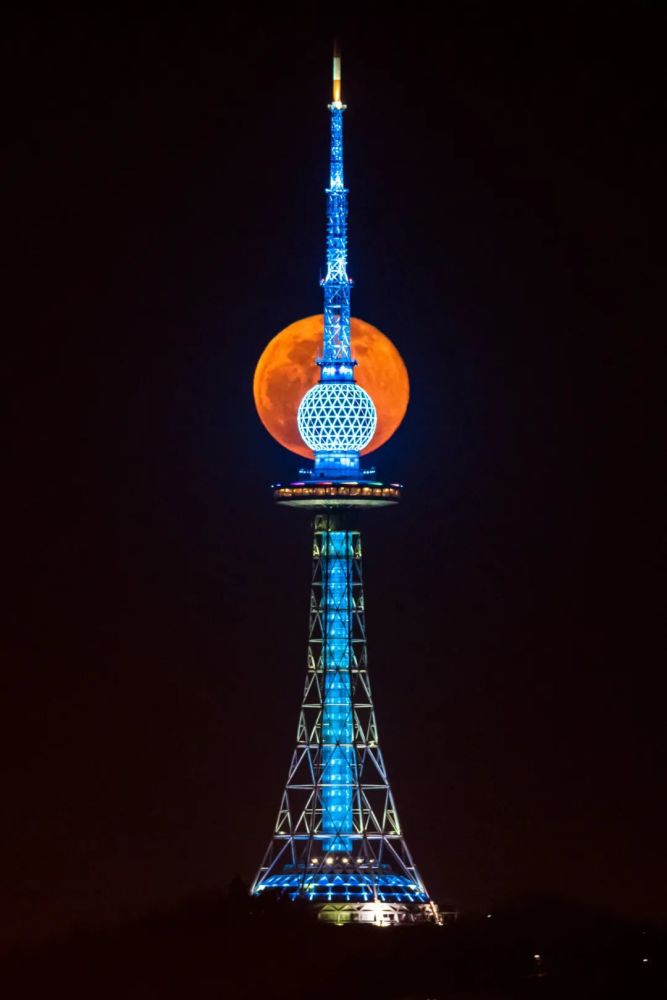 青岛电视塔夜景图片图片