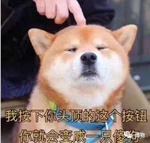 科学家|狗到底是不是由狼驯而化来的？科学家至今没搞懂……