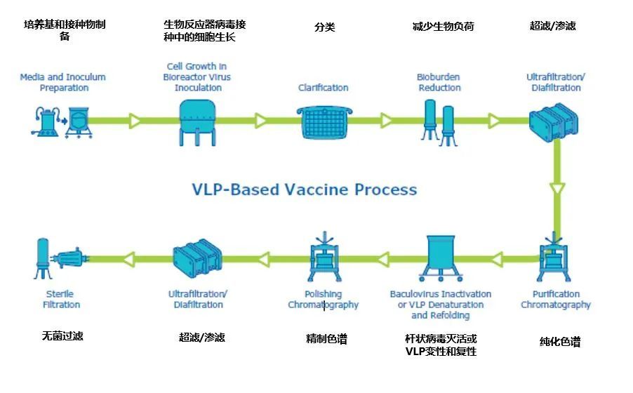 疫苗生产工艺流程图图片