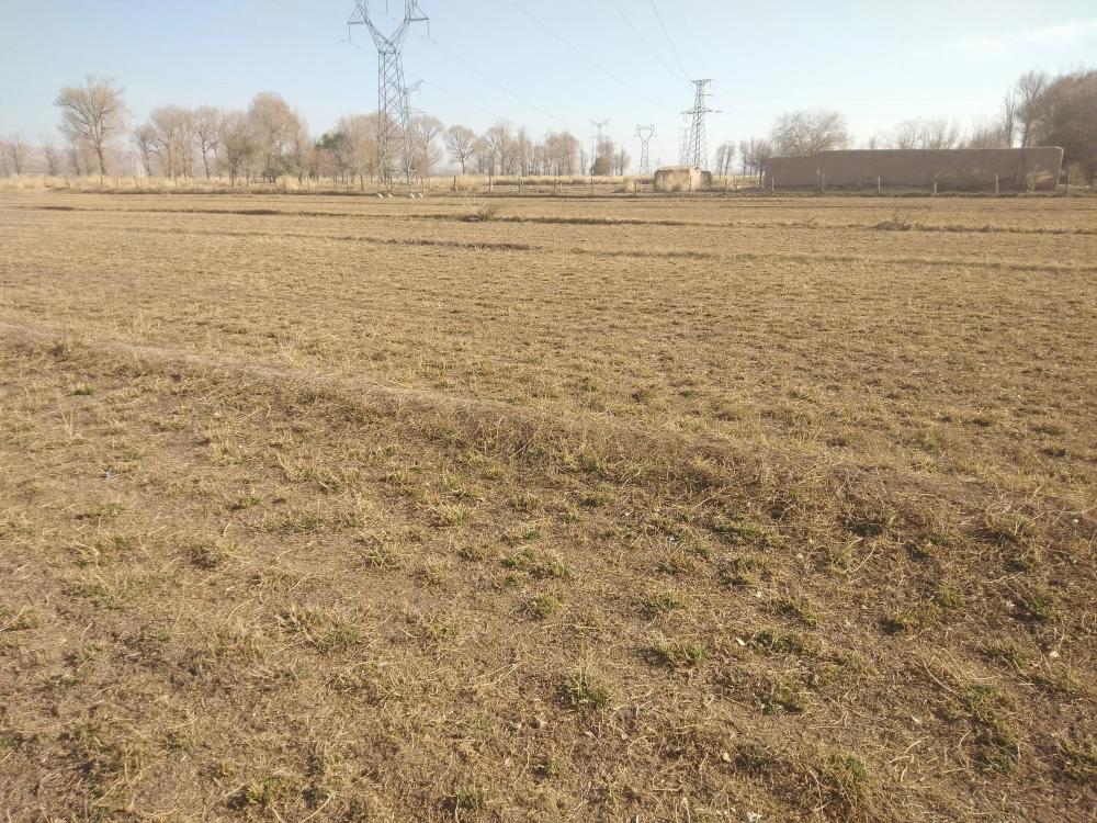 农村有10亩地,如何才能年入10万?是异想天开还是能够实现?