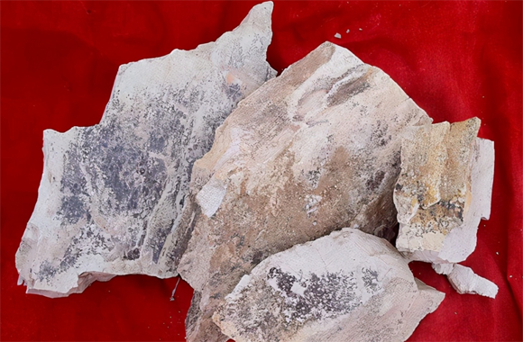 石头|长见识了！“石头”还能喂猪，不仅长得快、防病，还能改善环境