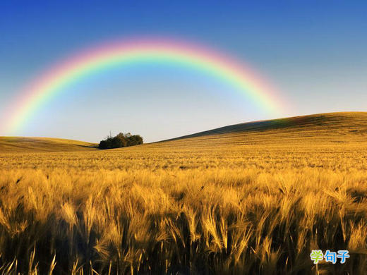雨天过后的彩虹句子图片