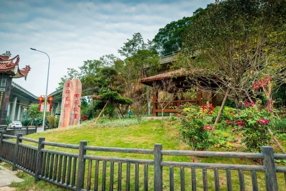 田园芳菲醉游人来长乐湖里村和春天撞个满怀