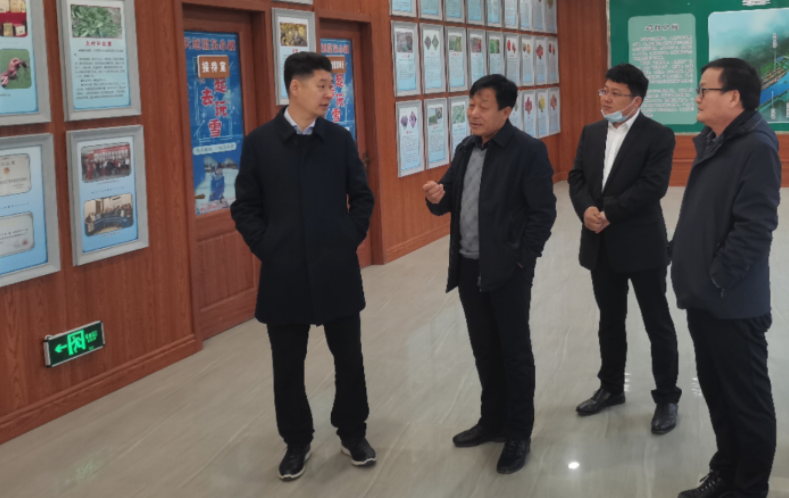 区委常委宣传部长冯磊调研指导区内文化产业发展工作