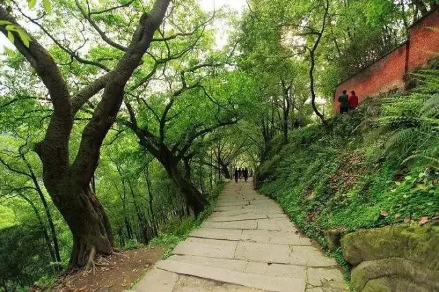 03沙坪壩歌樂山步道