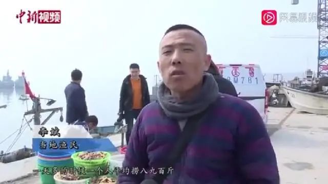 派大星|派大星入侵青岛海域几天后，快被吃光了…