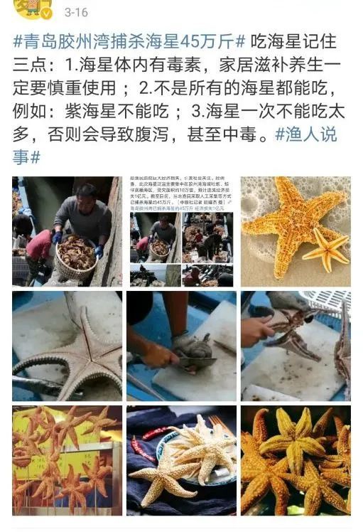 派大星|派大星入侵青岛海域几天后，快被吃光了…