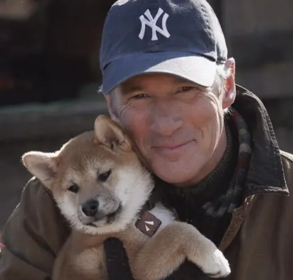 忠犬八公遭翻拍冯小刚和陈冲担当主演看清狗的品种票房稳了