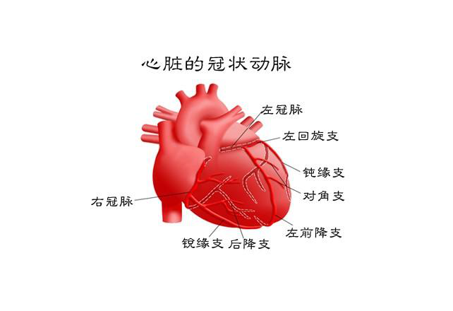 冠心病|得了冠心病严重吗？冠心病能治好吗？做到2点，延年益寿也不难