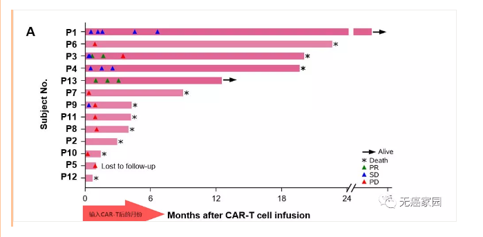 肝癌|惊艳：CAR-T实体瘤治疗又一重大突破！成功挽救晚期肝癌患者