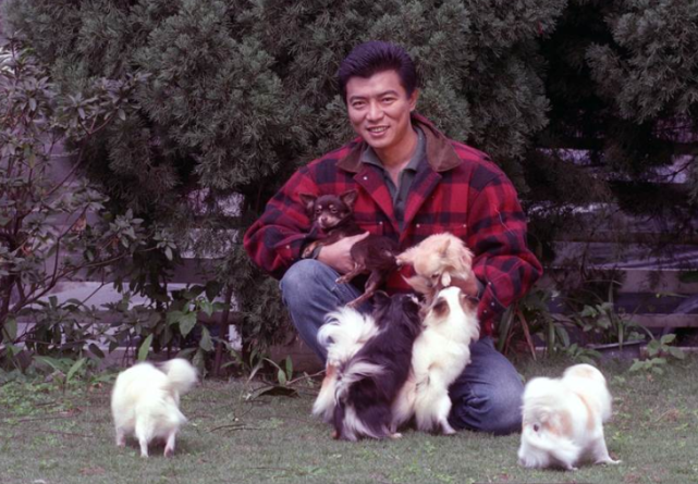 之后,张佩华在妻子的支持下,做起了培育藏獒的事业.