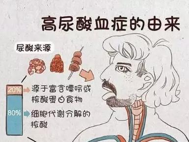 高尿酸会对身体造成什么样的伤害引起尿酸高的原因是什么