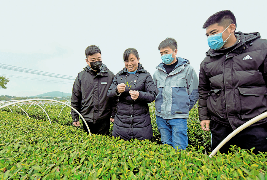 近日,記者走進大悟縣河口鎮金墩村,探尋這個山村在鄉村振興路上經歷的