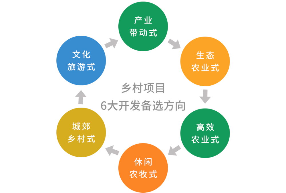 乡村振兴项目最全实施流程