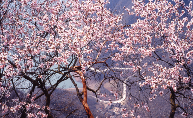 平涼文旅總工會踏春行壯美崆峒崆峒山