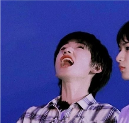 情头文案 "狼是光明正大的喜欢,鱼是默默无闻的偏爱"|宋亚轩|刘耀文