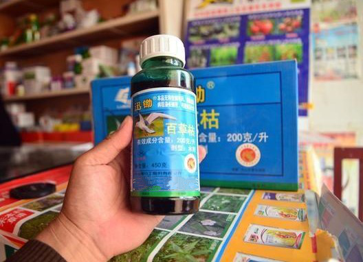 百草枯,被称为"毒药之王",它无色无味,人一旦误服,哪怕是很小的剂量也