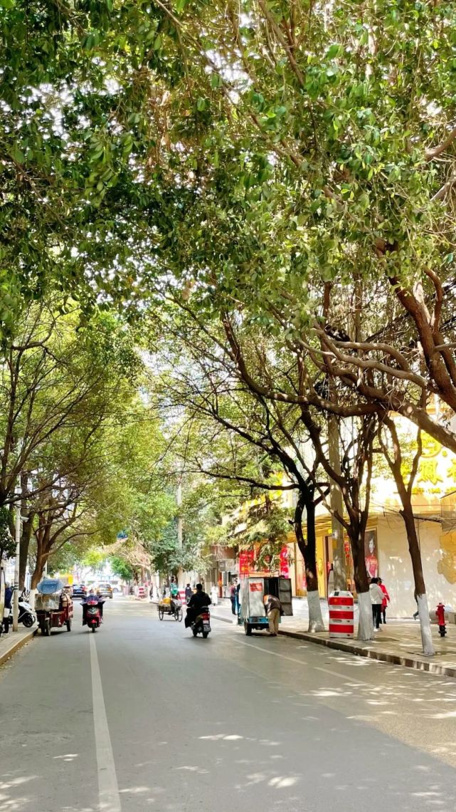 (午后的府后街)你还有哪些关于楚雄街道的记忆一起来评论区聊聊吧