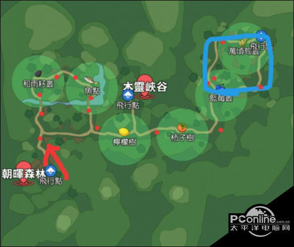 小森生活灯闪果在哪小森生活灯闪果位置
