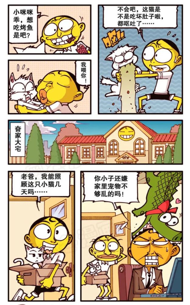 奋豆星太奇我的宠物不可能那么萌高茜变成了猫
