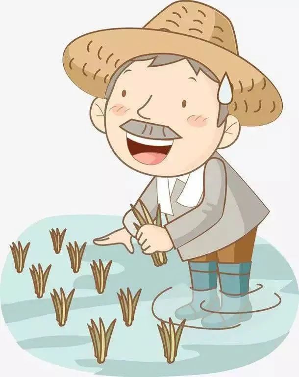 局部最高降温或超10℃!南平今日发布寒潮警报