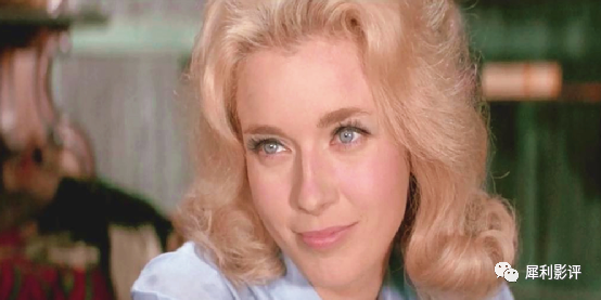 电影棉花白了影评