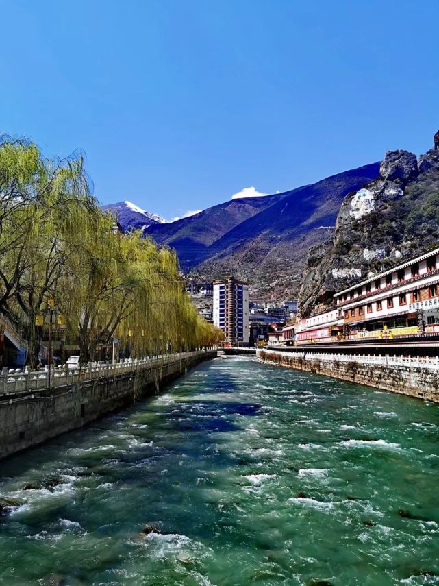 康定折多河2021年春意盎然