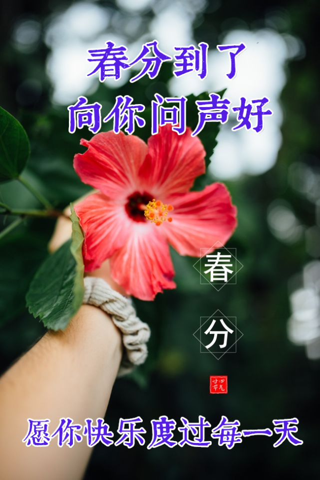 2022年3月20日春分早上好问候祝福动态表情图片最新早安问候语动态