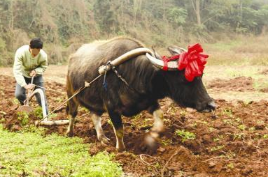 今日春分,文明"游"乐_腾讯新闻